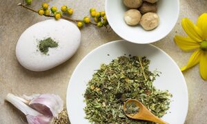 Herbs to replace prostatitis